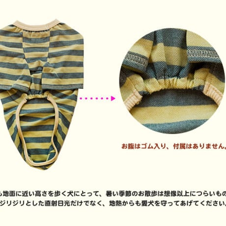 ボーダーＴシャツ