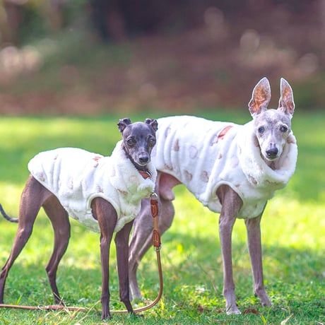 シープフリース・ハートベスト