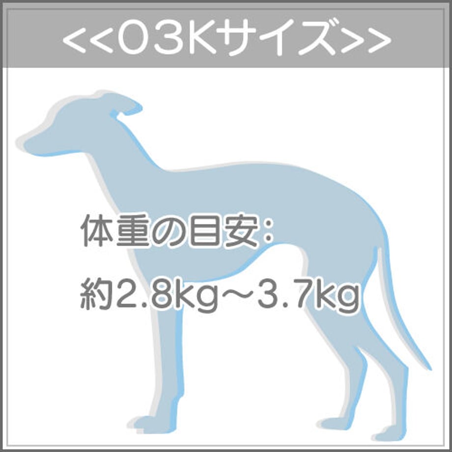 63042f965b9b750d3242fe40