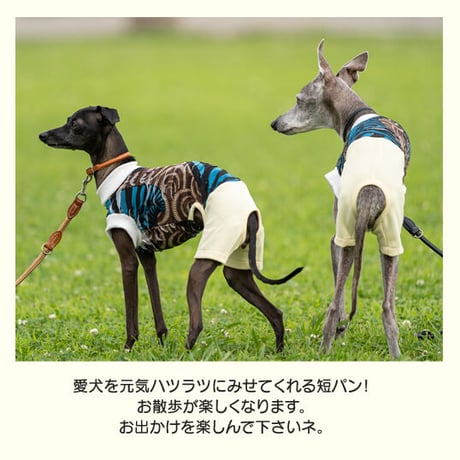 スリティーナッティー・コンビネゾン