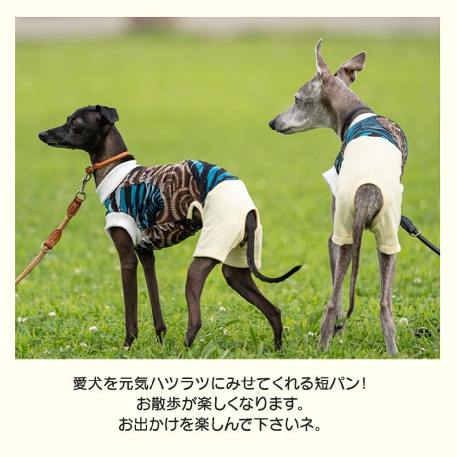 631bcf44ed4ab031cfe07b18