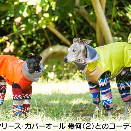 ライトパッティングジャケット