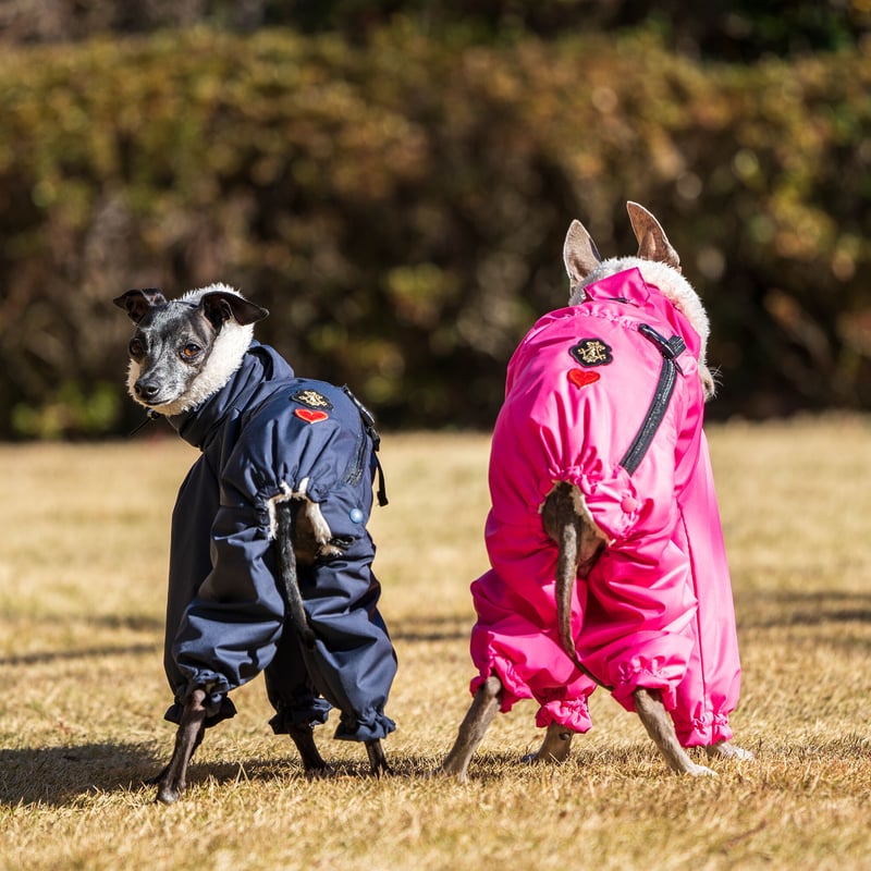 撥水＋シープフリースカバーオール | FEEL SO DOOG（フィール・ソー