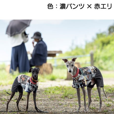 ファッションストリート