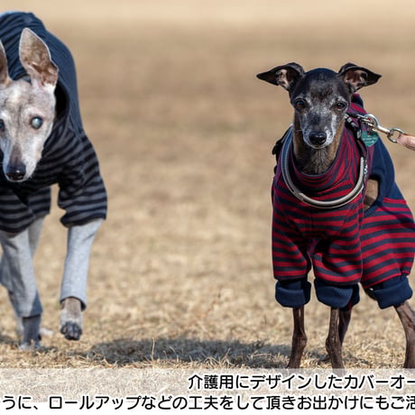 ウォームボーダーカバーオール