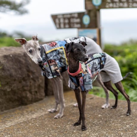 ファッションストリート