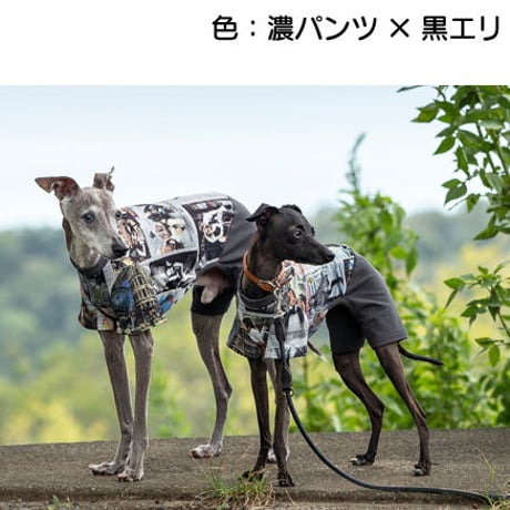 ファッションストリート