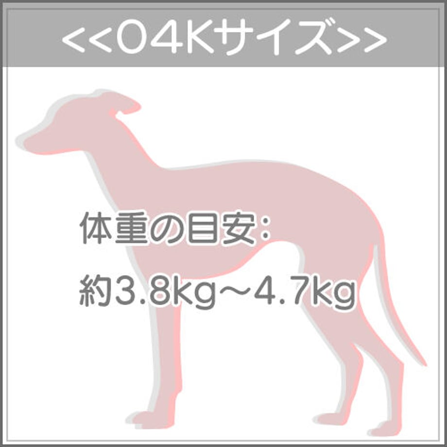 630484cb402ae636a8f40fbb