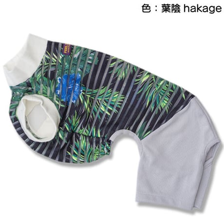 チックブラインド・コンビネゾン