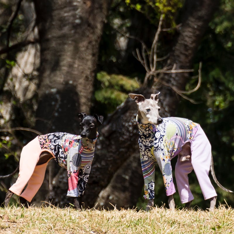 カバーオール華いかだ | FEEL SO DOOG（フィール・ソー・ドッグ）