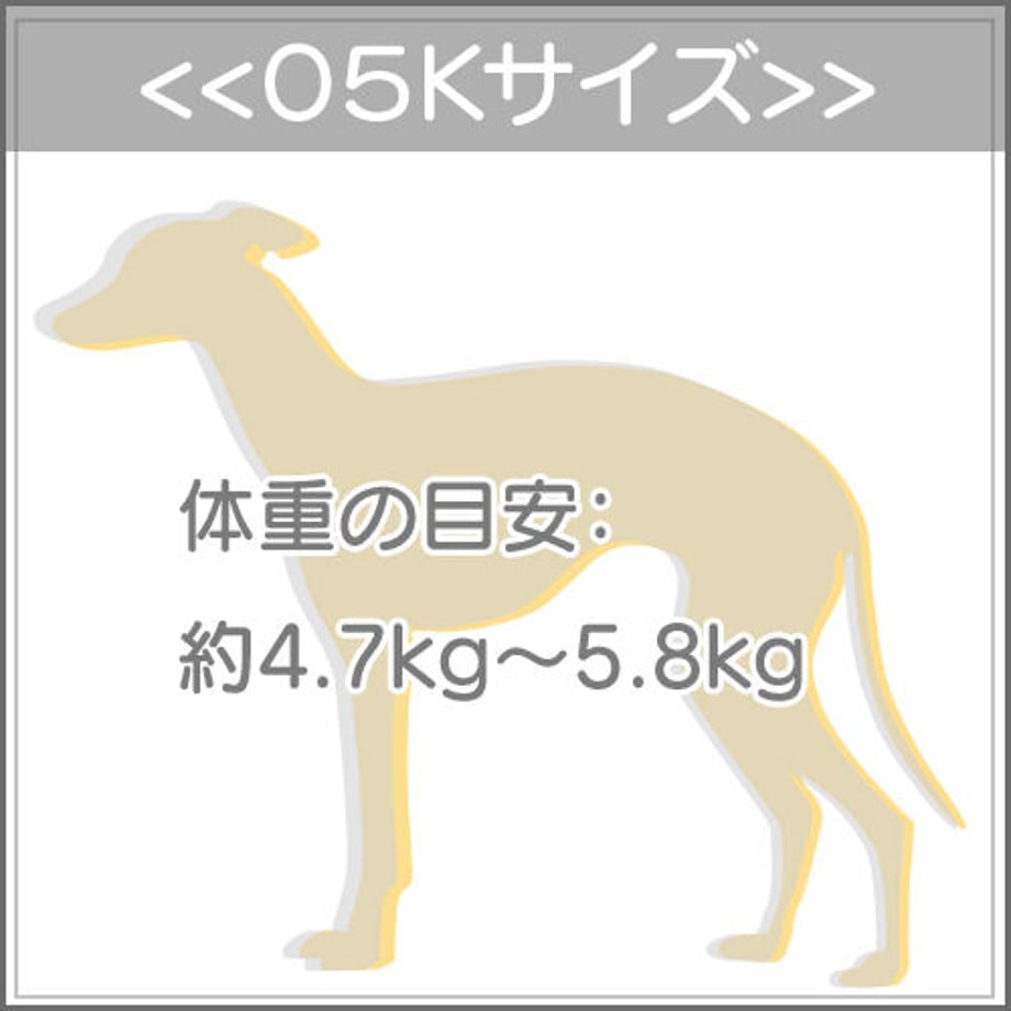6304850be5b117347f8645ae