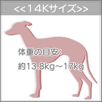 １４Ｋサイズについて