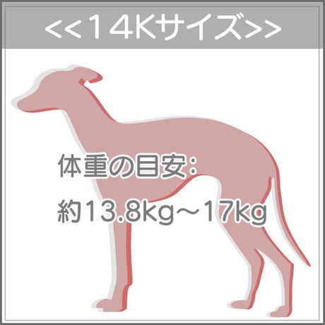 １４Ｋサイズについて