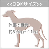 ０９Ｋサイズについて
