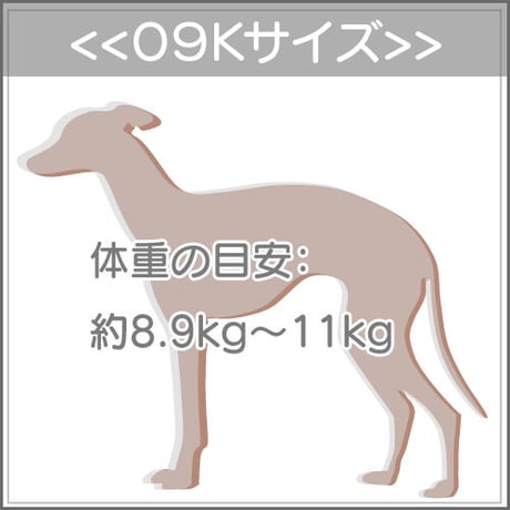 ０９Ｋサイズについて