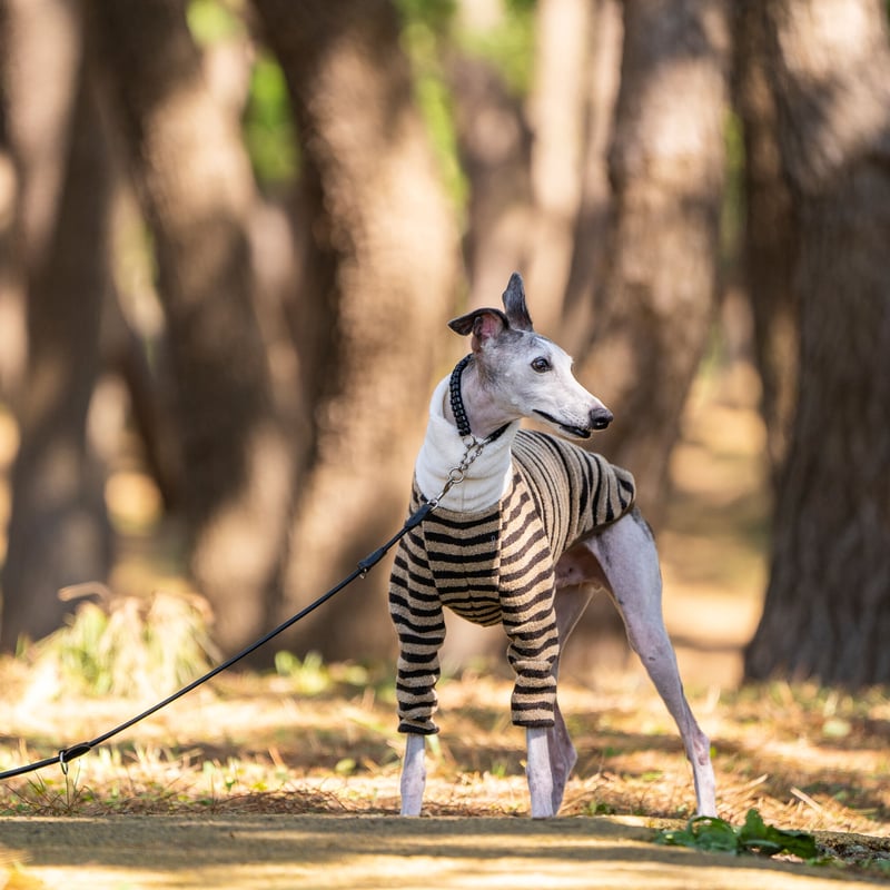 パイルボーダー（細）プルオーバー | FEEL SO DOOG（フィール