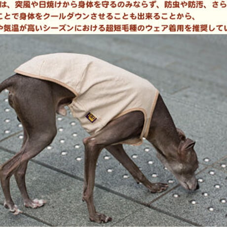 オーガニックコットン・ボーダータンク