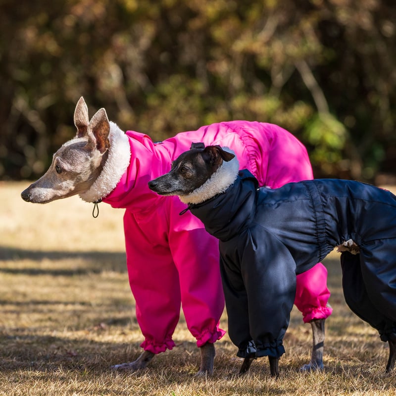 撥水＋シープフリースカバーオール | FEEL SO DOOG（フィール・ソー