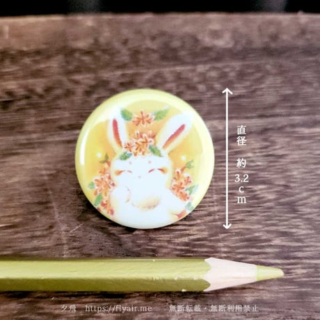 【新作】ミニ缶バッジ　キンモクセイ