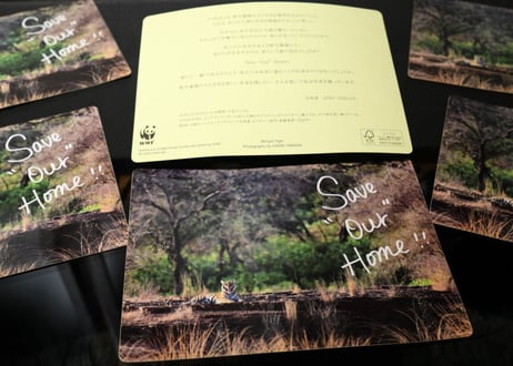 WWFシャパン コラボアイテム「Save “Our” Home！」Big Sticker