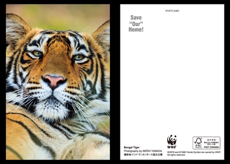WWFシャパン コラボアイテム「Save “Our” Home！」Post Card 10枚セット