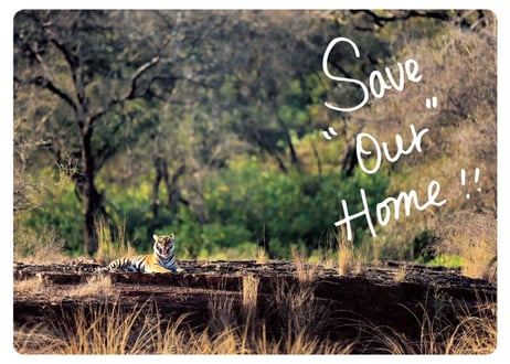 WWFシャパン コラボアイテム「Save “Our” Home！」Big Sticker