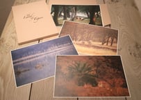 Special 12 Photo-Folio「The Land of Tigers」【BOX入り】