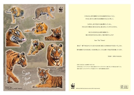 WWFシャパン コラボアイテム「Save “Our” Home！」Sticker