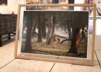 Special 12 Photo-Folio「The Land of Tigers」【BOX入り】+MOEBEフレームセット
