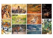 WWFシャパン コラボアイテム「Save “Our” Home！」Post Card 10枚セット
