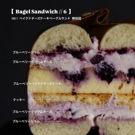 【  Bagel Sandwiches // 6  】