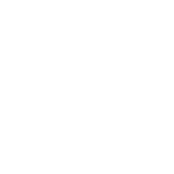 NIKO BAGEL ONLINE