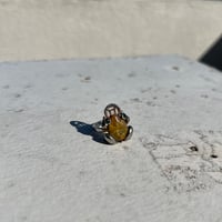 frog motif ring