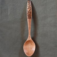 桜のスプーン (kolrosing)