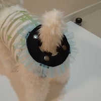 タックフリルレース