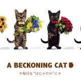 A BECKONING CAT