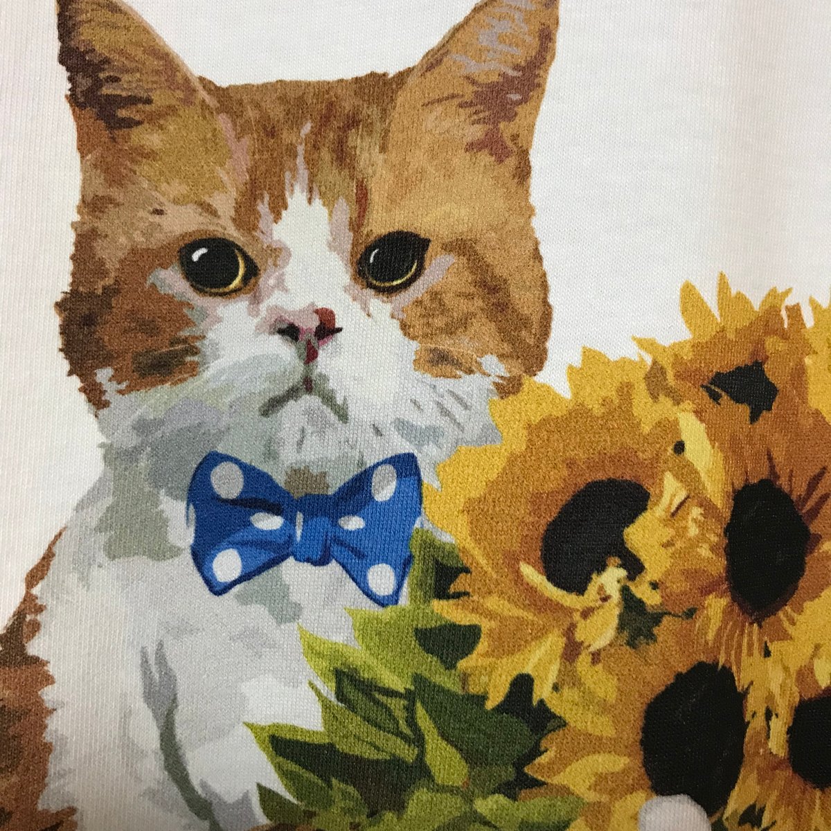 ひまわりとネコ様 ひまわりと猫 210813 - YouTube