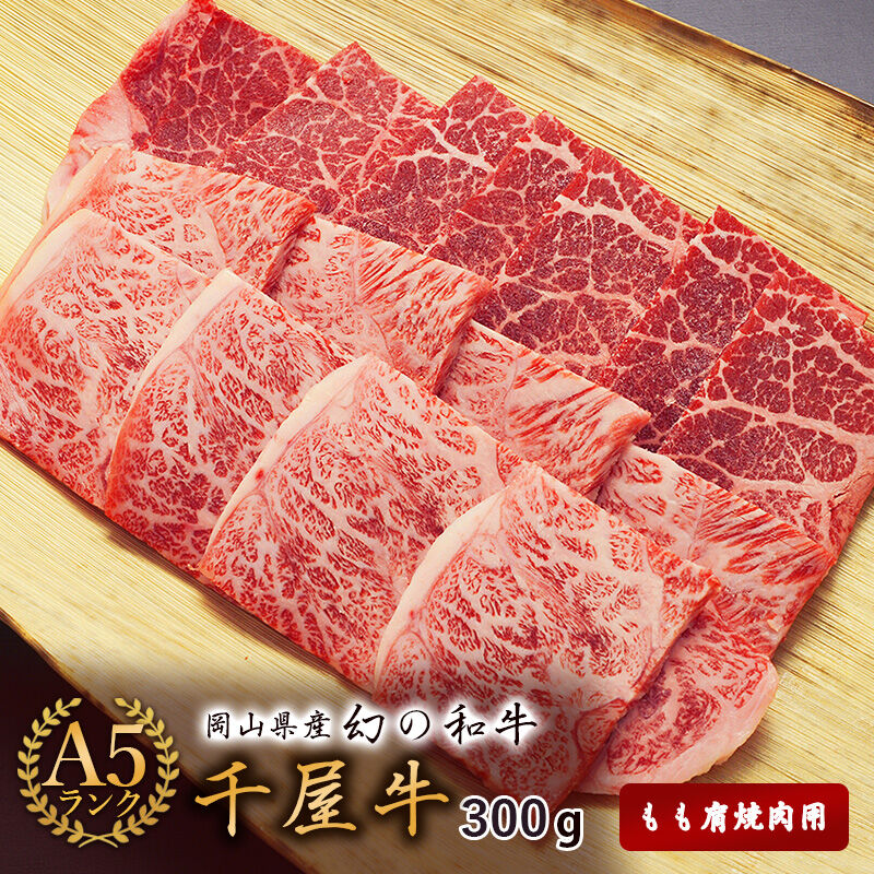 千屋牛 - 岡山県産黒毛和牛　「千屋牛」 A5ランク　サーロインステーキ300g 千屋牛 黒毛和牛 A5ランク 牛肉 300g モモ肩焼肉用 霜降り 最