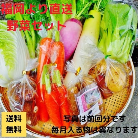 【福岡】季節の野菜セット