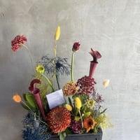 Original fantasy arrangement  S (DRY&FRESH)