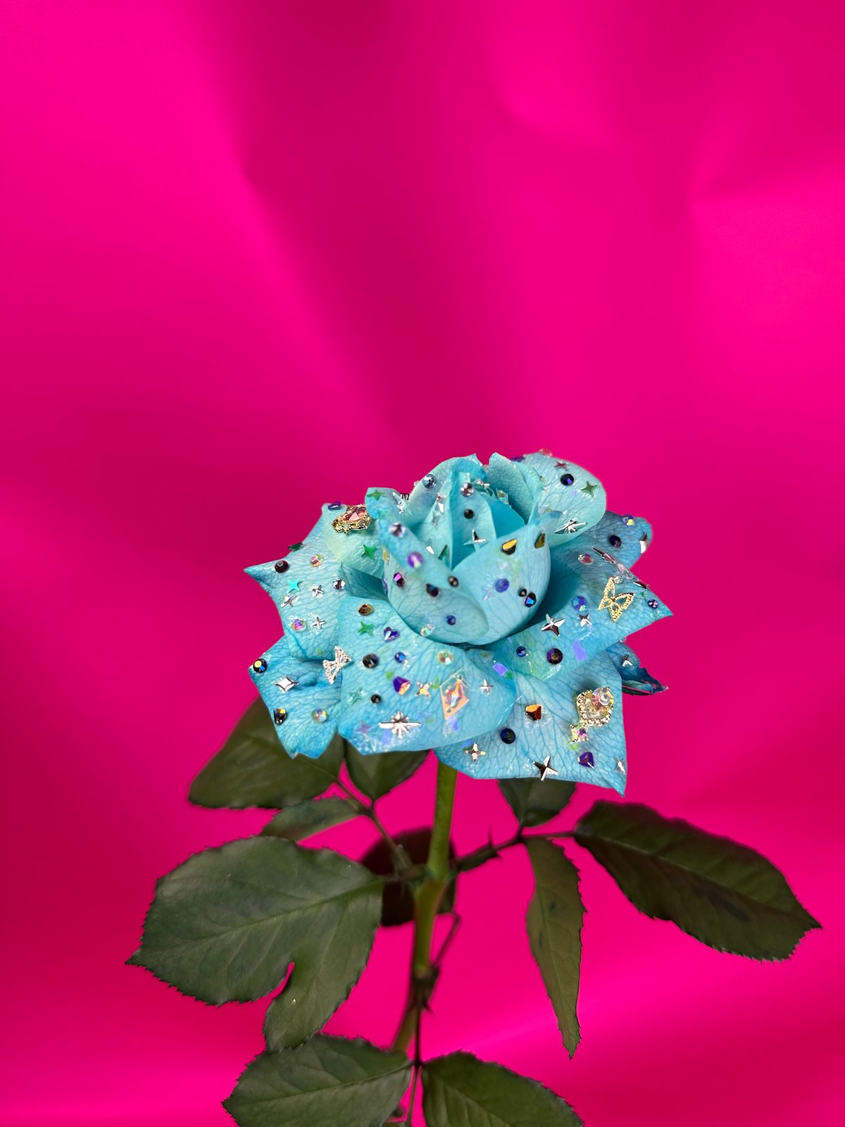 オプション Neo Flower アレンジメント、花束をご注文の方のみ | Camille