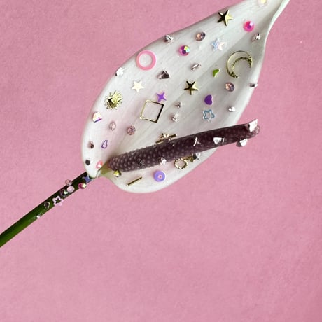 オプション Neo Flower アレンジメント、花束をご注文の方のみ