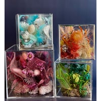CUBE（L）