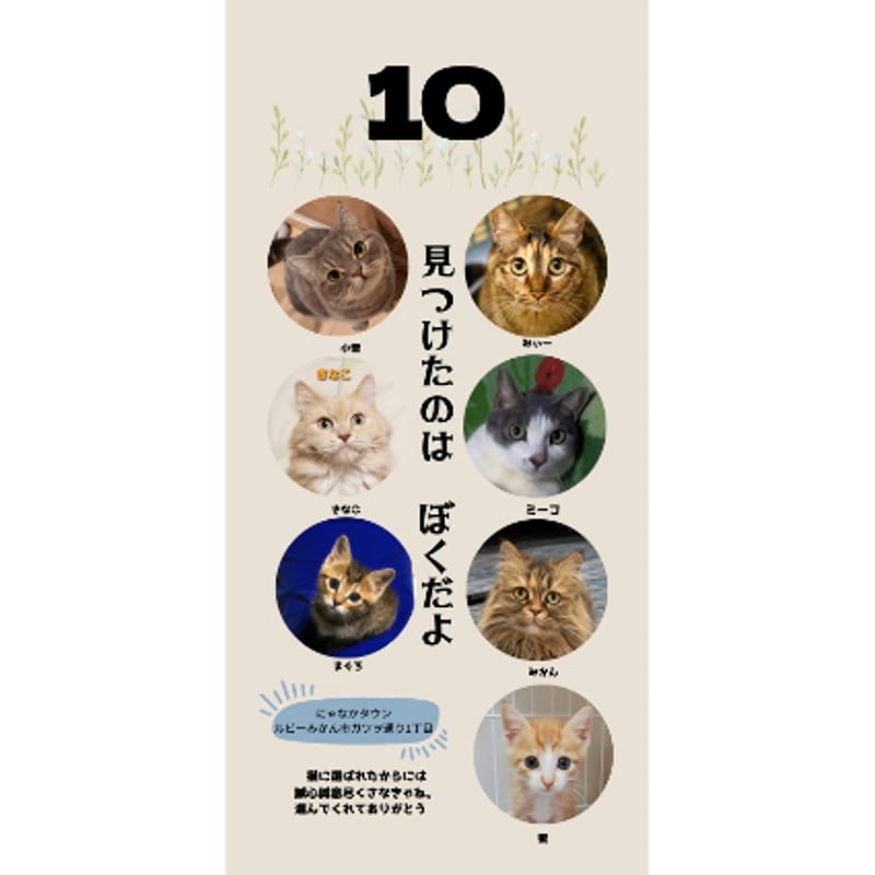 オレンジにーやん日めくりカレンダ 31th 日めくりカレンダー【1〜2冊】 | NYANAKA TOWN store