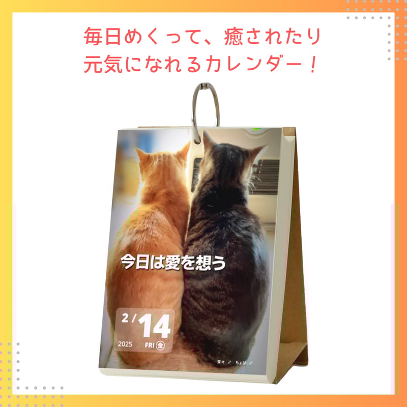 ニャンコの教え 日めくりカレンダー 2025 【3冊以上】 | NYANAKA