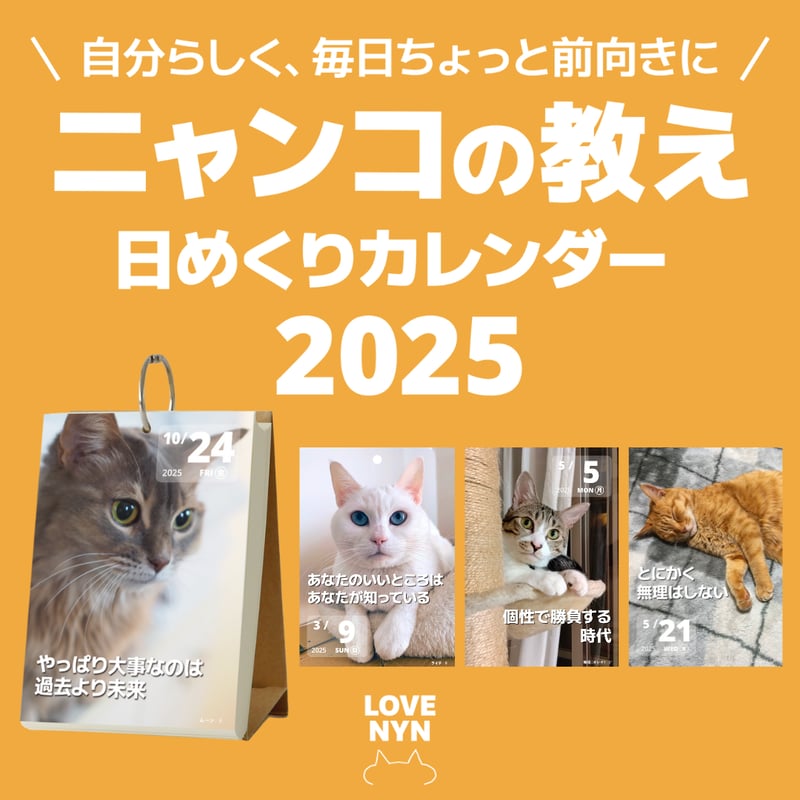 値下げ⭐️日めくりニャンコ！2025年(卓上日めくりカレンダー猫版) 台座付き Amazon | 日めくりニャンコ！2025年(卓上日めくりカレンダー猫版