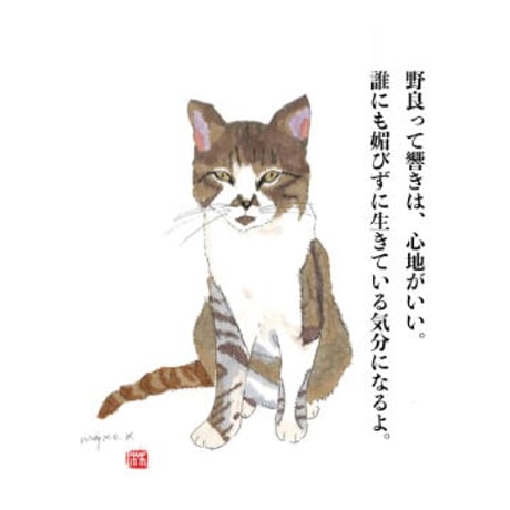 川上麻衣子イラストことはポストカード10枚セット