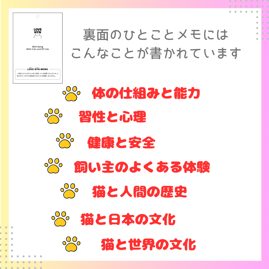 日めくりニャンコカレンダー 2025年 卓上 Amazon | 日めくりニャンコ！2025年(卓上日めくりカレンダー猫版