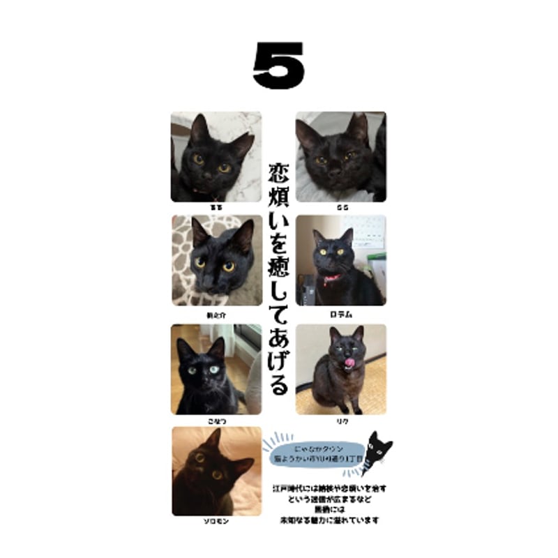 31th 日めくりカレンダー【1〜2冊】 | NYANAKA TOWN store