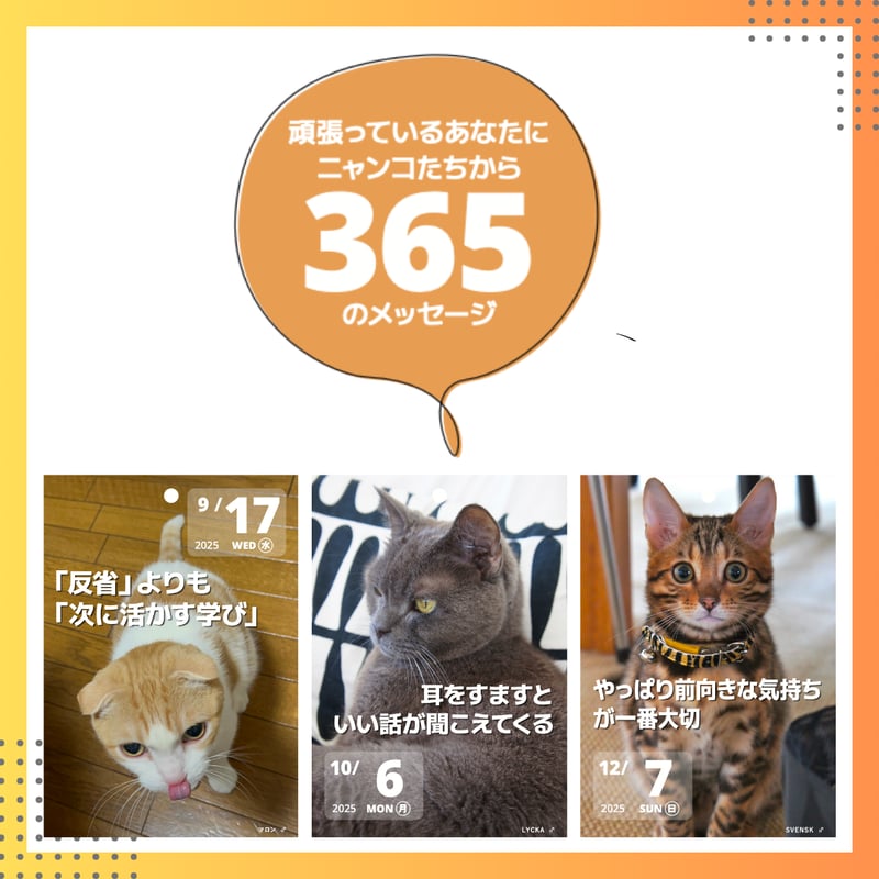 ニャンコの教え 日めくりカレンダー 2025 【3冊以上】 | NYANAKA